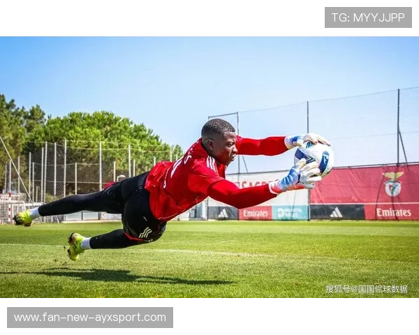 主场优势复苏，球迷成为球队第十二人利器