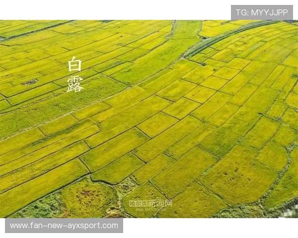 白露运动提醒：早晚凉，热身要充分，白露休息